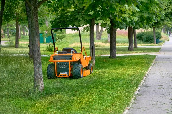 Overgrown Lawn Care