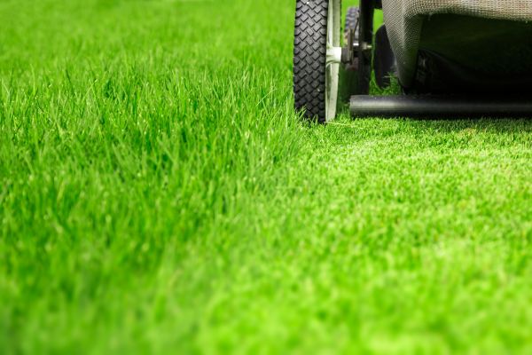 Weekly Lawn Care