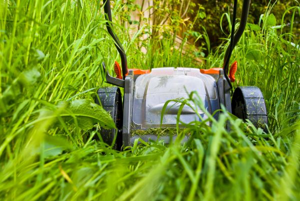 Grass Mowing