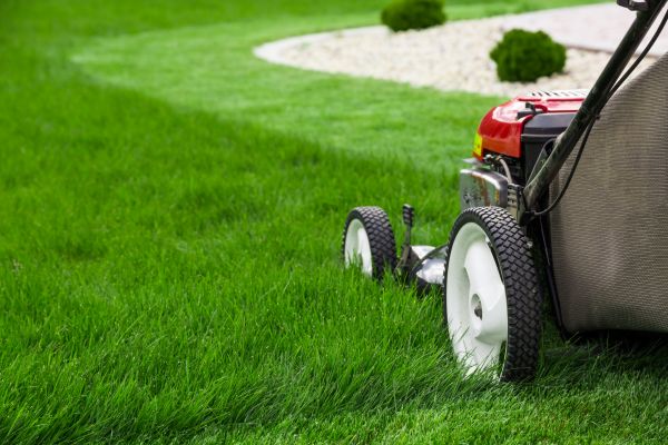 Weekly Mowing