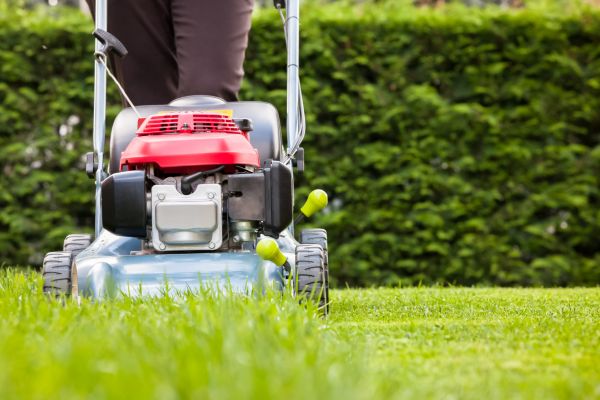 Unkempt Lawn Care