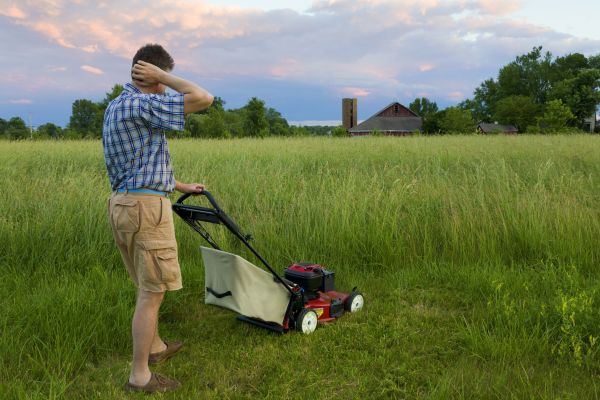 Overgrown Yard Maintenance