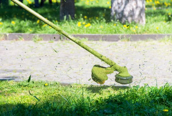 Scheduled Grass Cutting