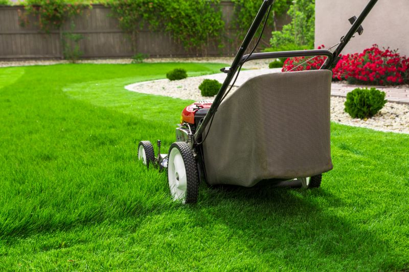 Unkept Grass Mowing
