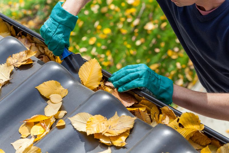Gutter and Lawn Debris Removal