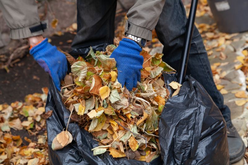 Raking Leaves