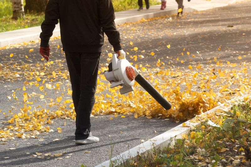 Professional Leaf Removal Equipment
