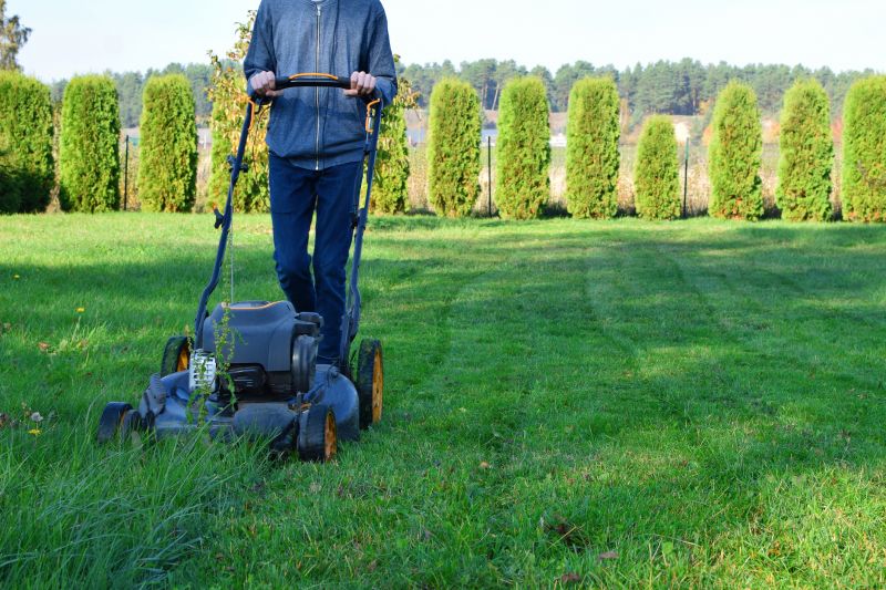 Efficient Lawn Maintenance