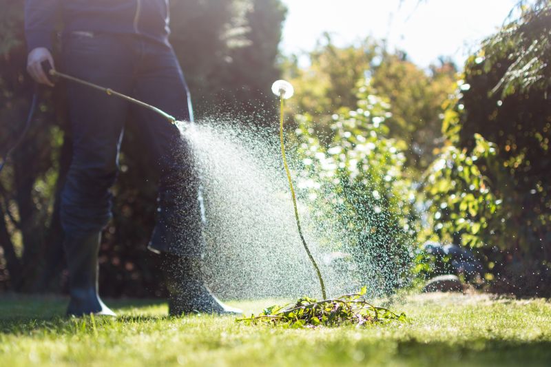 Slope Weed Control in Honolulu, HI