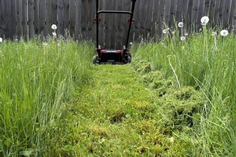 Unkept Grass Mowing